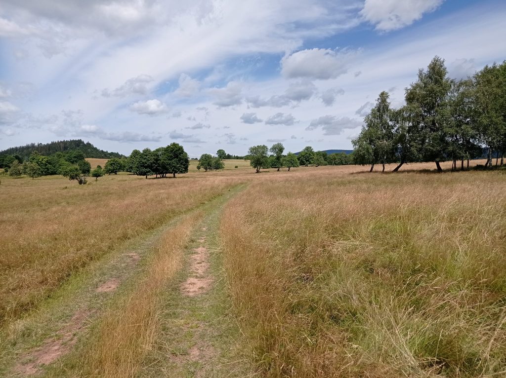 Fot. Małgorzata Kolankowska